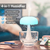 Raindrop Humidifier