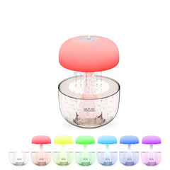 Raindrop Humidifier